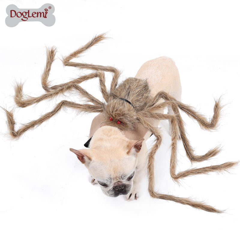 Dog Halloween Spider Outfit Spider Costume For Halloween Party Decoration