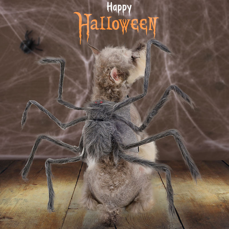 Dog Halloween Spider Outfit Spider Costume For Halloween Party Decoration