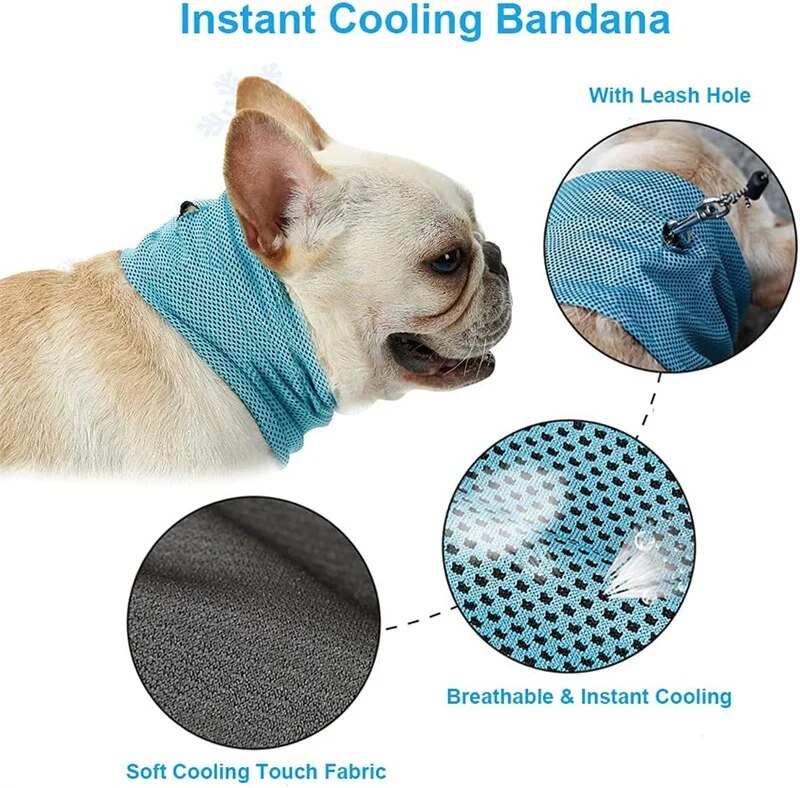 Summer Ice Dog Collar Reusable Physical Instant Cooling Bandana with Leash Hole Pet Scarf