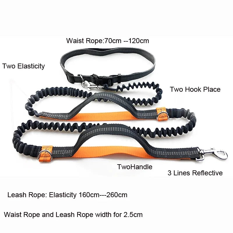 Dogs Harness Leash Set djustable Safety Reflective Pet Vest Harness With Handle Control