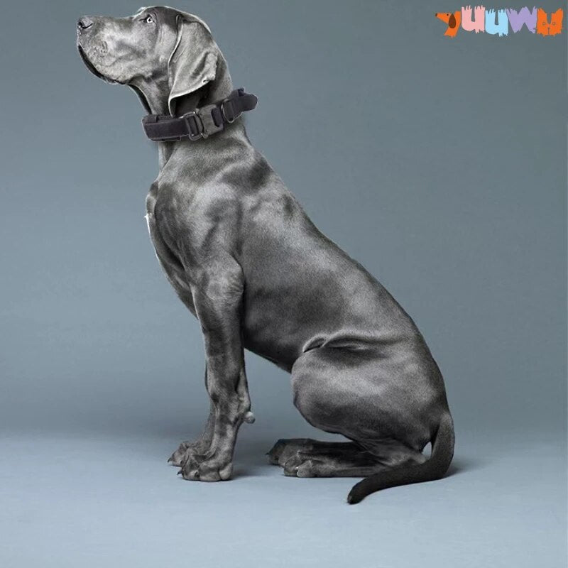 Tactical Pet Dog Collar Military Adjustable Duarable Nylon Padded