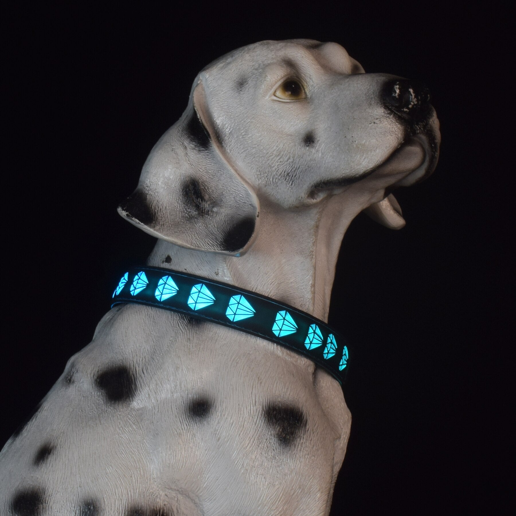 Usb Rechargeable Pet Dog Collars Eco friendly Nylon Adjustable