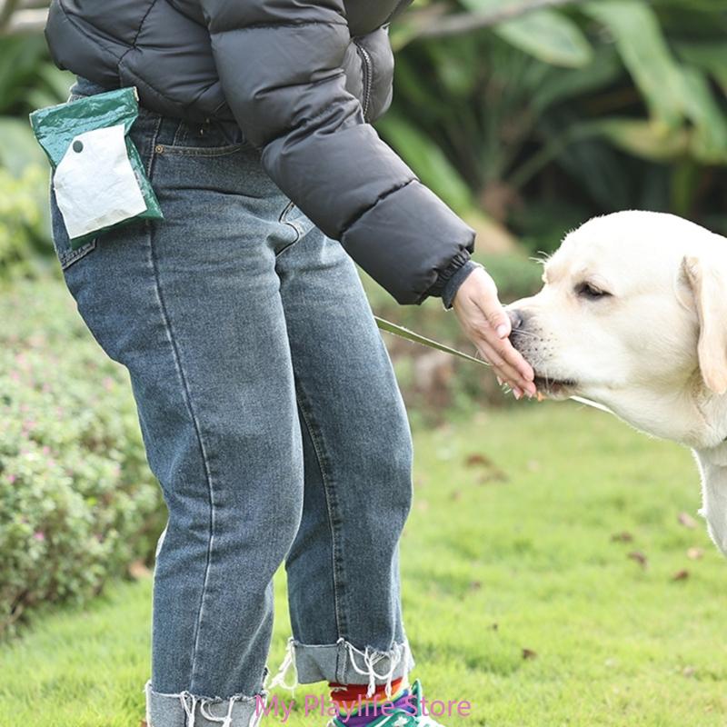 Walking Dog Snack Pocket with Carabiner Hands Free Pet Treat Bag Waist Bag