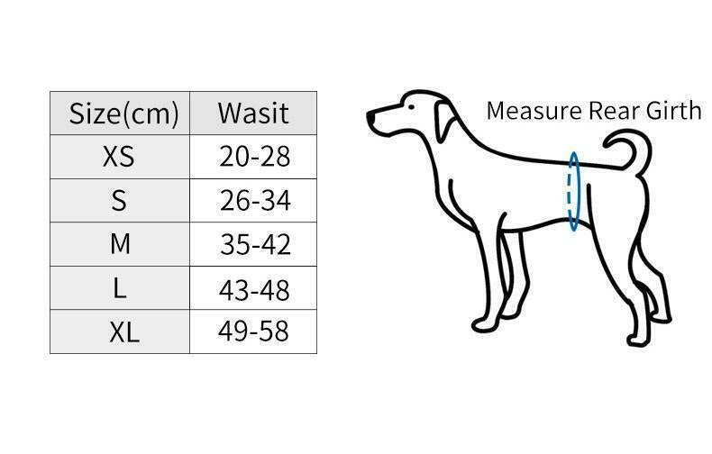 Washable Male Dog Belly Band Wrap Waterproof Male Pet Diapers