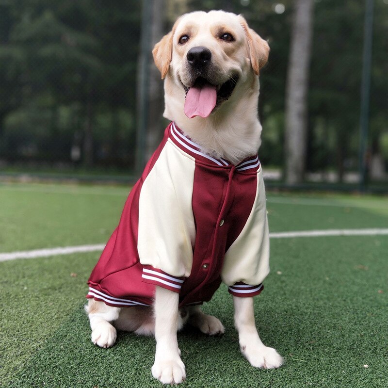 Autumn Winter Pet Dog Baseball Clothes Fashion Dog Jacket
