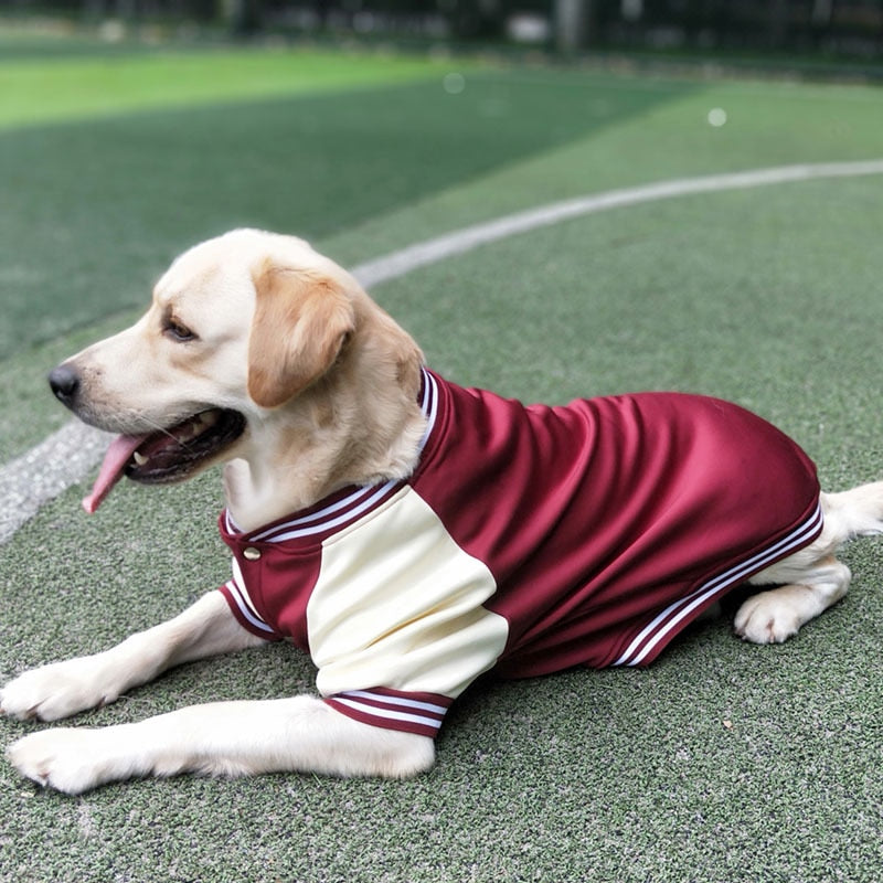 Autumn Winter Pet Dog Baseball Clothes Fashion Dog Jacket