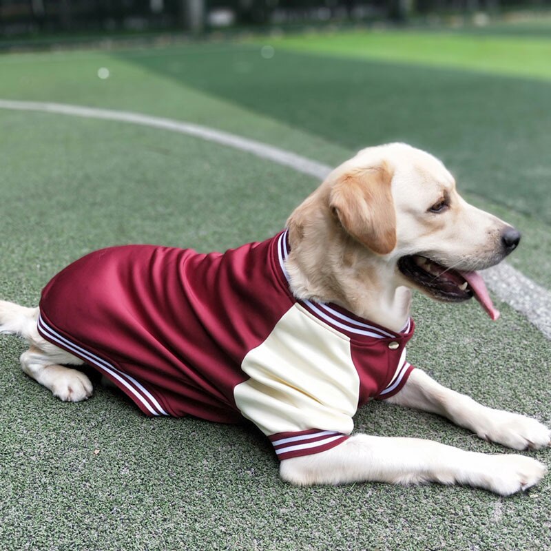 Autumn Winter Pet Dog Baseball Clothes Fashion Dog Jacket
