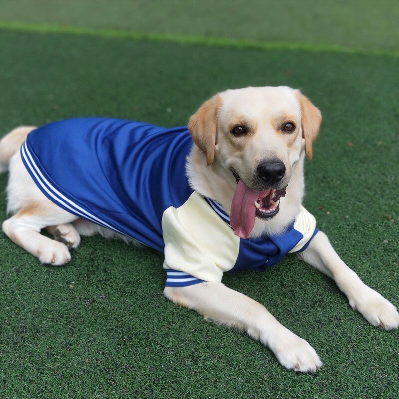 Autumn Winter Pet Dog Baseball Clothes Fashion Dog Jacket