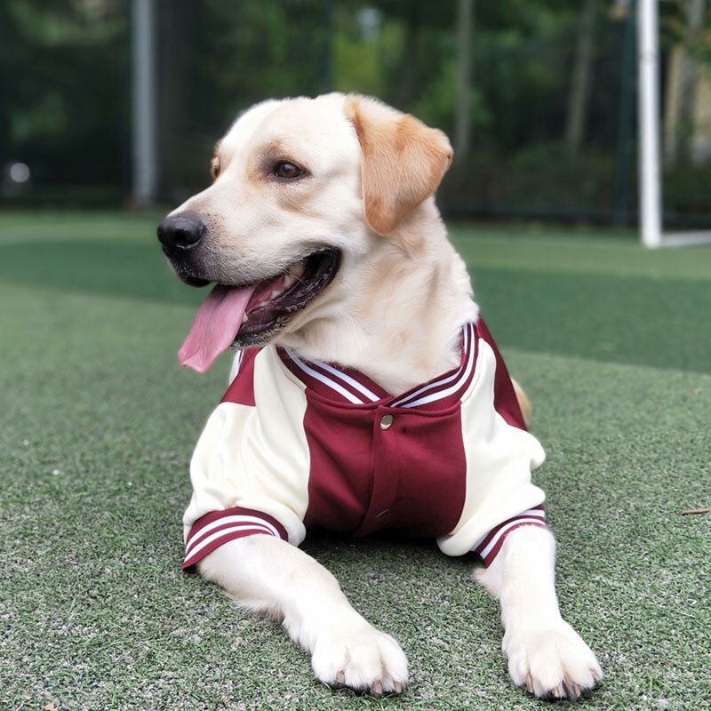Autumn Winter Pet Dog Baseball Clothes Fashion Dog Jacket