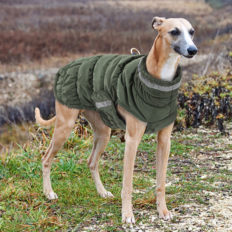 Winter Dog Jacket With Fleece Water-resistant Dog Coat
