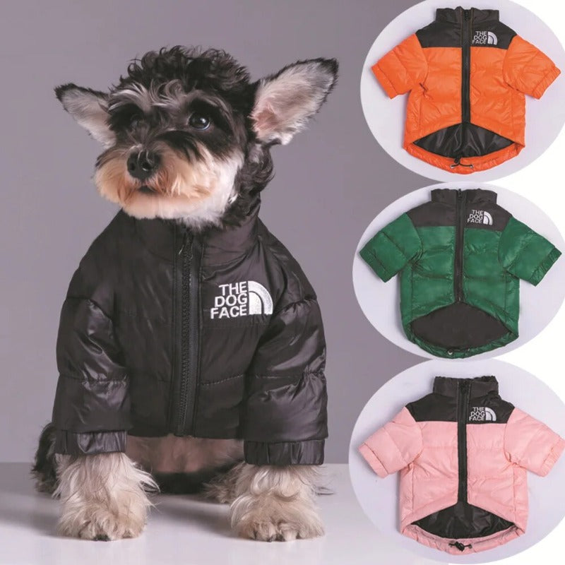 Winter Pet Dog Down Jacket The Dog Face Pet Warm and Cold-proof Puppy Coat