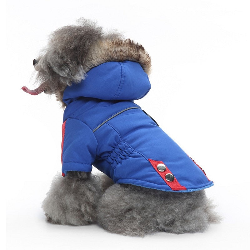 Winter Pet Dog Warm Jacket Outdoor Waterproof Dog Coat
