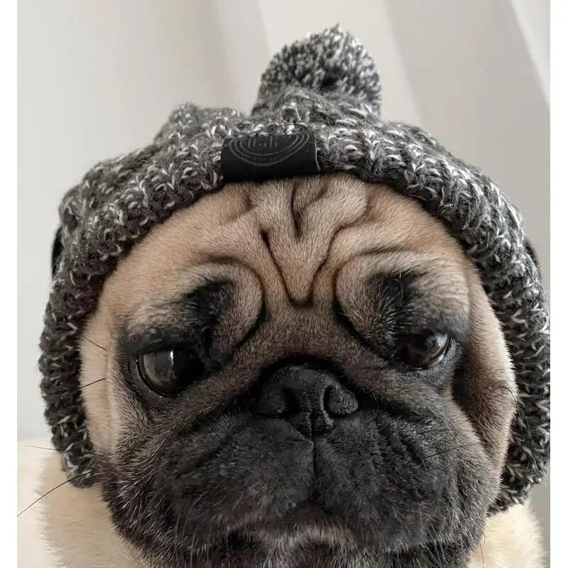 Winter Warm Windproof Dog Cap Pet Dogs Hats