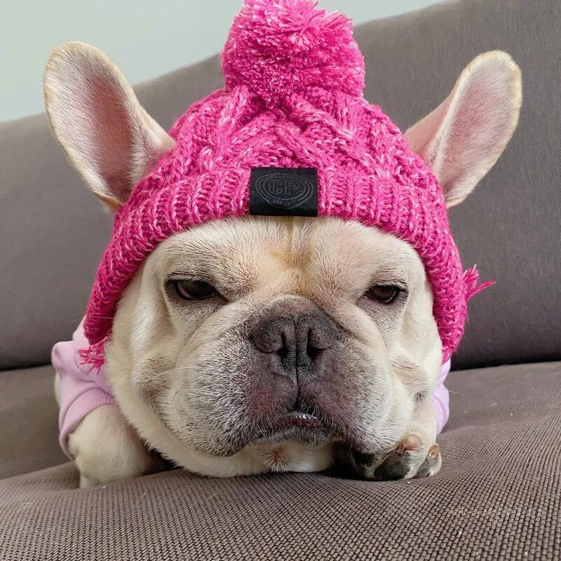 Winter Warm Windproof Dog Cap Pet Dogs Hats