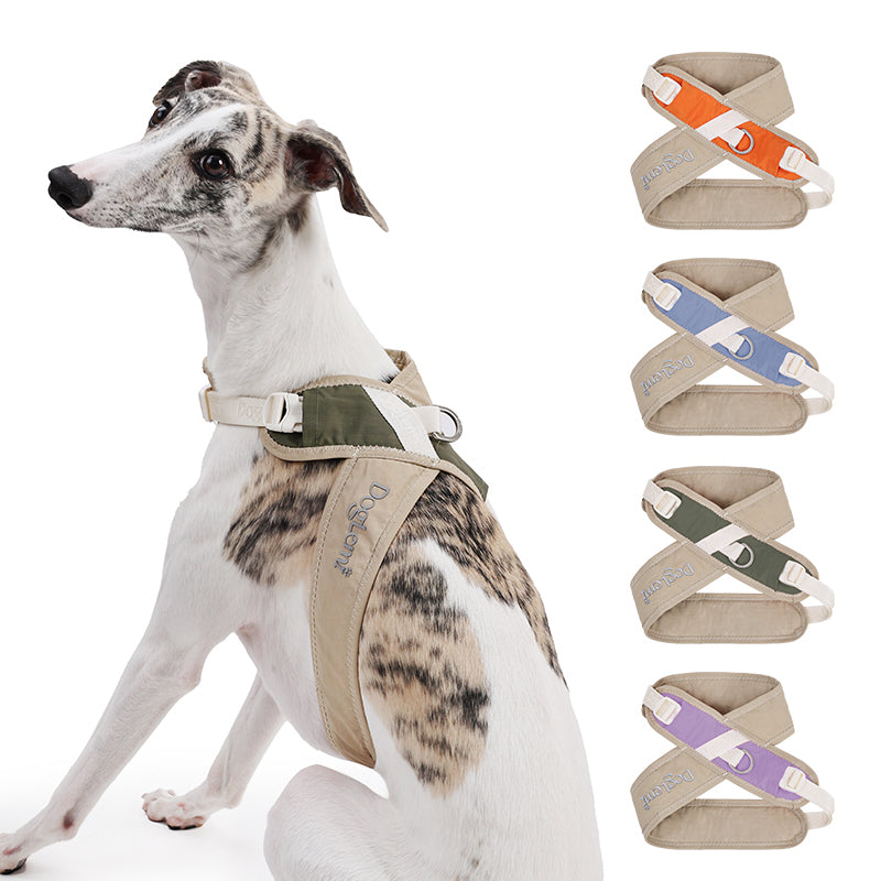 X-Design Adjustable Mesh Dog Harness & Matching Leash