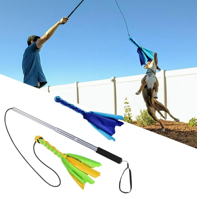 Dogs Flirt Lure Pole Stick Dog Extendable Teaser