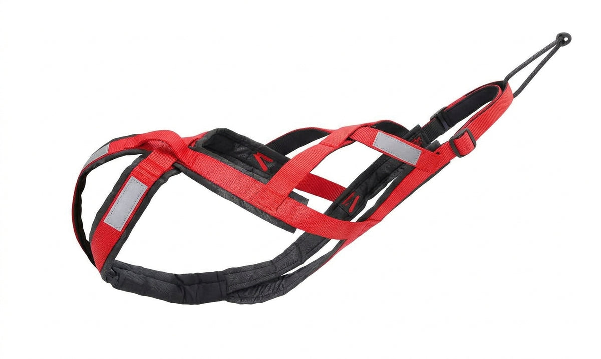 Red reflective dog sled harness for weight pulling and skijoring training