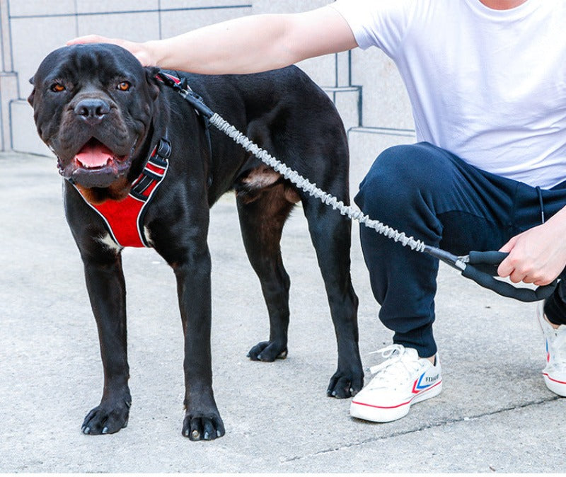Heavy Duty Large Dog No Pull Rope Nylon Leash