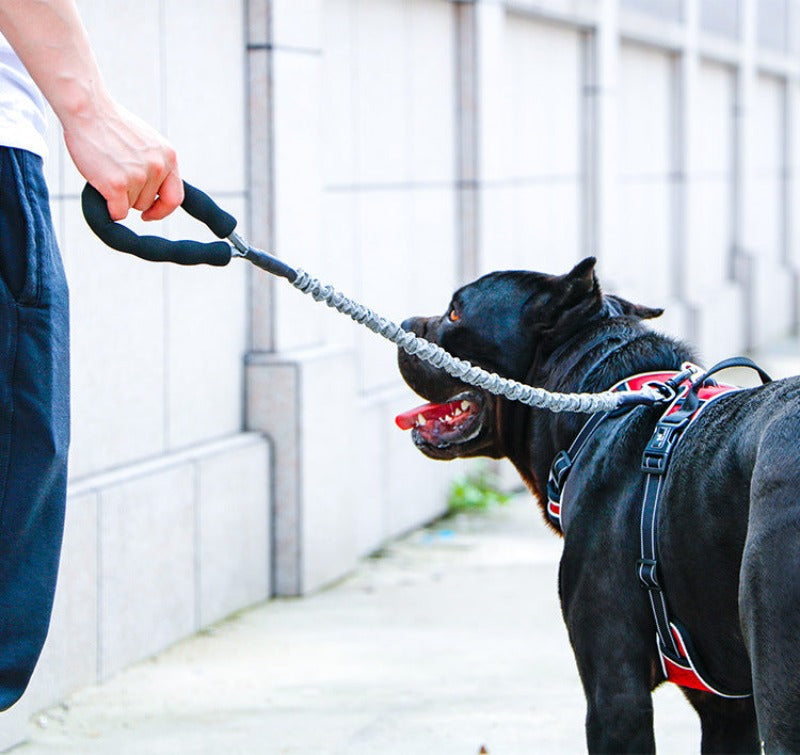 Heavy Duty Large Dog No Pull Rope Nylon Leash