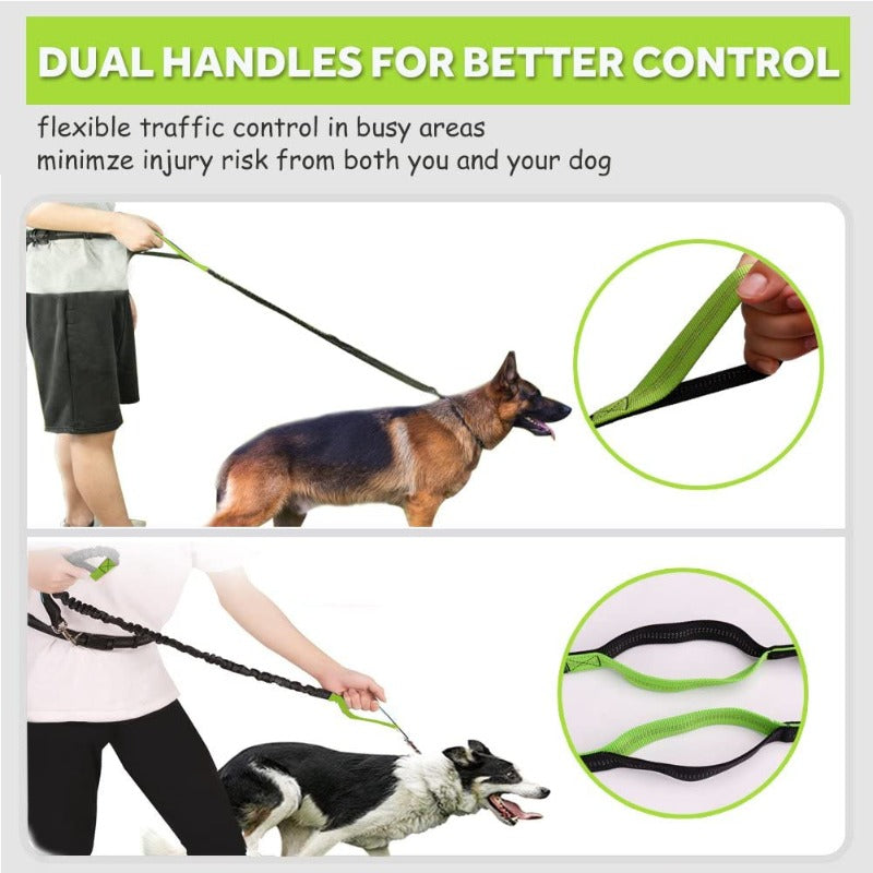 Hands Free Dog Leash with Waist Zipper Pocket Dual-Handle Reflective Bungee Suitable for Running Hiking Training Adjustable Waist Belt, Shock Absorbing for Small Medium and Large Dogs Pet Supplies