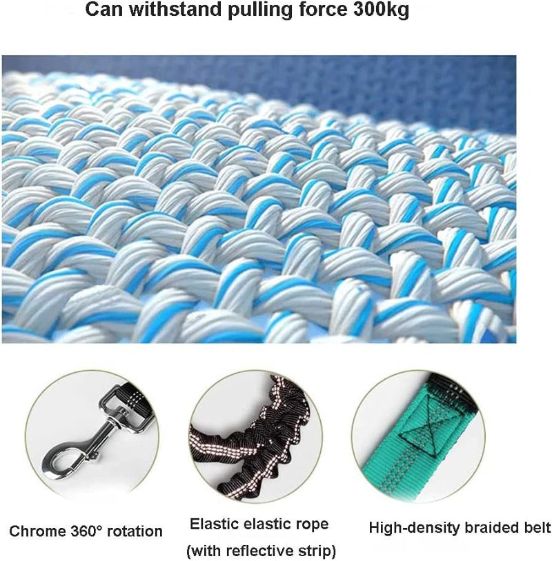 Hands Free Dog Leash with Waist Zipper Pocket Dual-Handle Reflective Bungee Suitable for Running Hiking Training Adjustable Waist Belt, Shock Absorbing for Small Medium and Large Dogs Pet Supplies