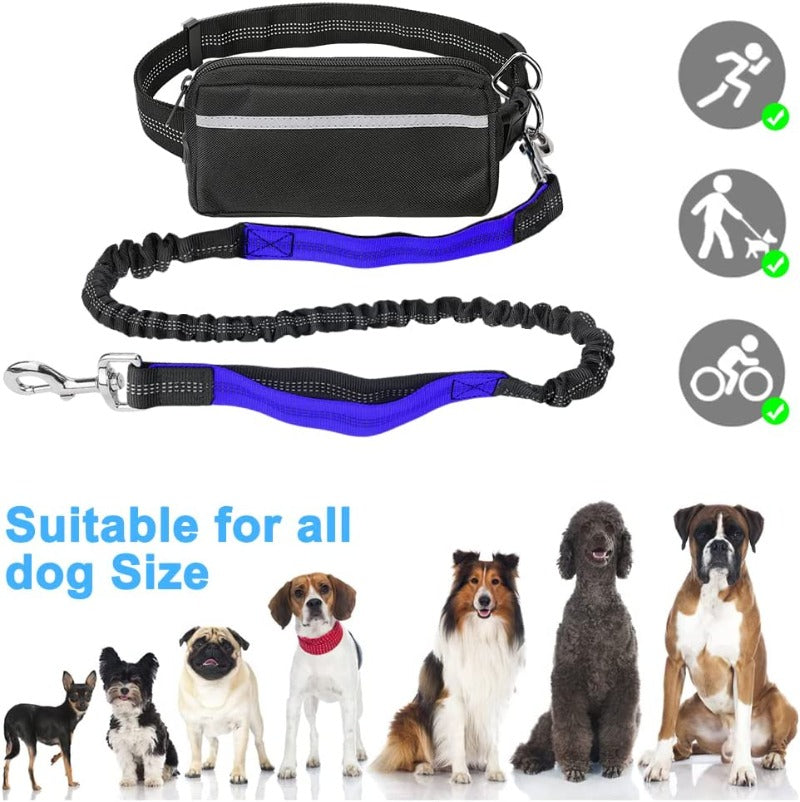 Hands Free Dog Leash with Waist Zipper Pocket Dual-Handle Reflective Bungee Suitable for Running Hiking Training Adjustable Waist Belt, Shock Absorbing for Small Medium and Large Dogs Pet Supplies