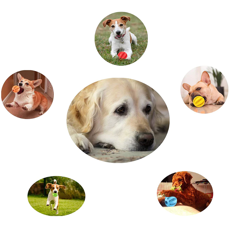 Pet Dog Ball Toy For Tooth Cleaning Snack