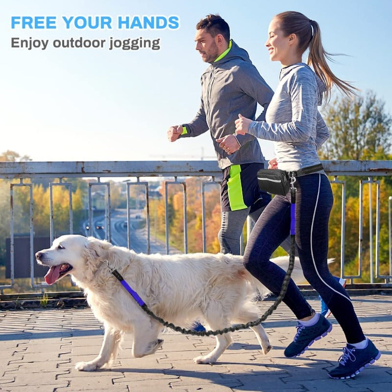 Hands Free Dog Leash with Waist Zipper Pocket Dual-Handle Reflective Bungee Suitable for Running Hiking Training Adjustable Waist Belt, Shock Absorbing for Small Medium and Large Dogs Pet Supplies