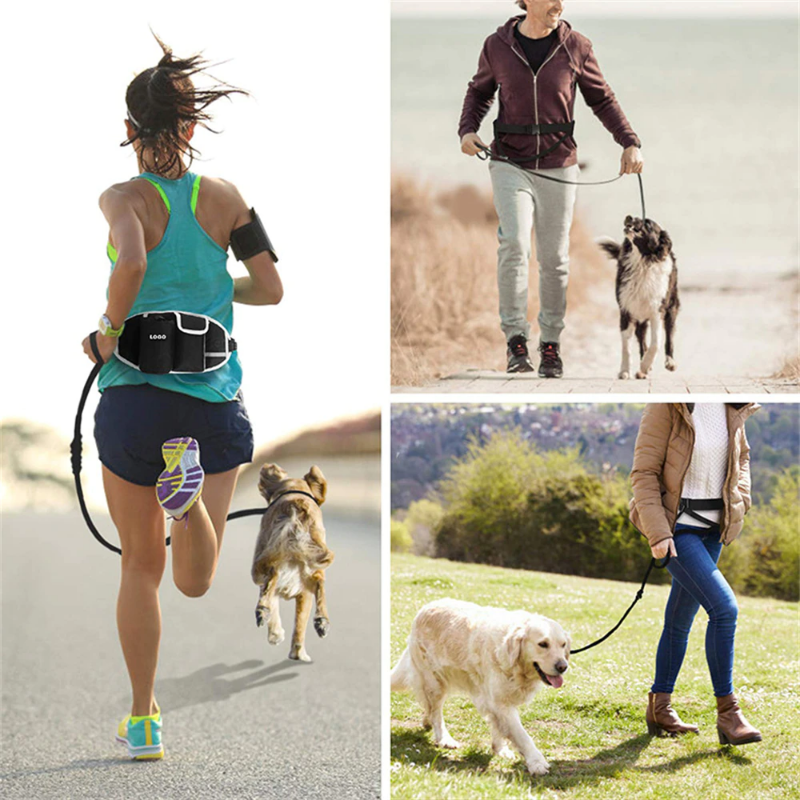 Dog Walking Bags Training Pet Treat Bag Fanny Pack Hands-Free Pet Candy Pouch Bungee Leash Dog Feed Bowls Storage Water Cup Bags