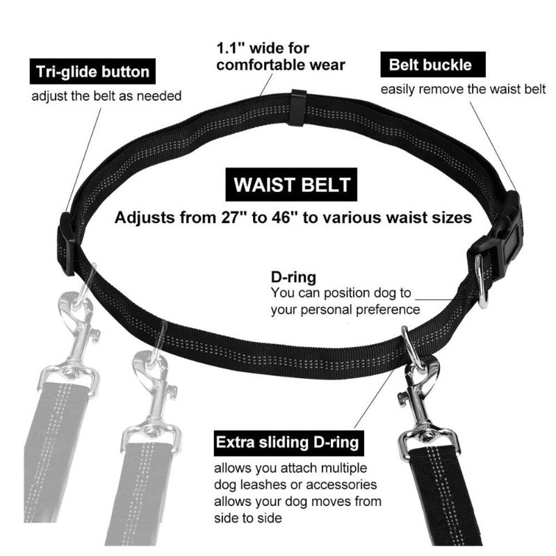 Hands Free Dog Leash with Waist Zipper Pocket Dual-Handle Reflective Bungee Suitable for Running Hiking Training Adjustable Waist Belt, Shock Absorbing for Small Medium and Large Dogs Pet Supplies