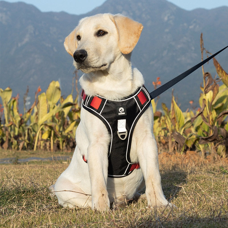 Adjustable Reflective Dog Harness Vest