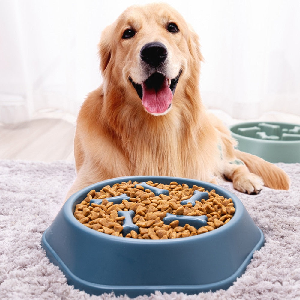Pet Dog Slow Feeder Bowl