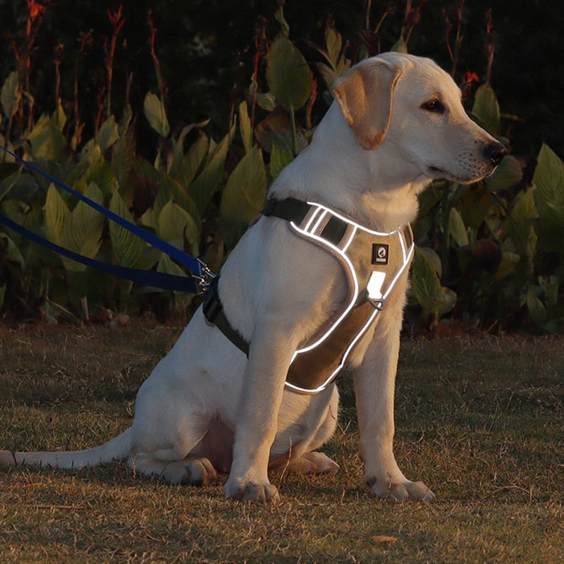 Adjustable Reflective Dog Harness Vest