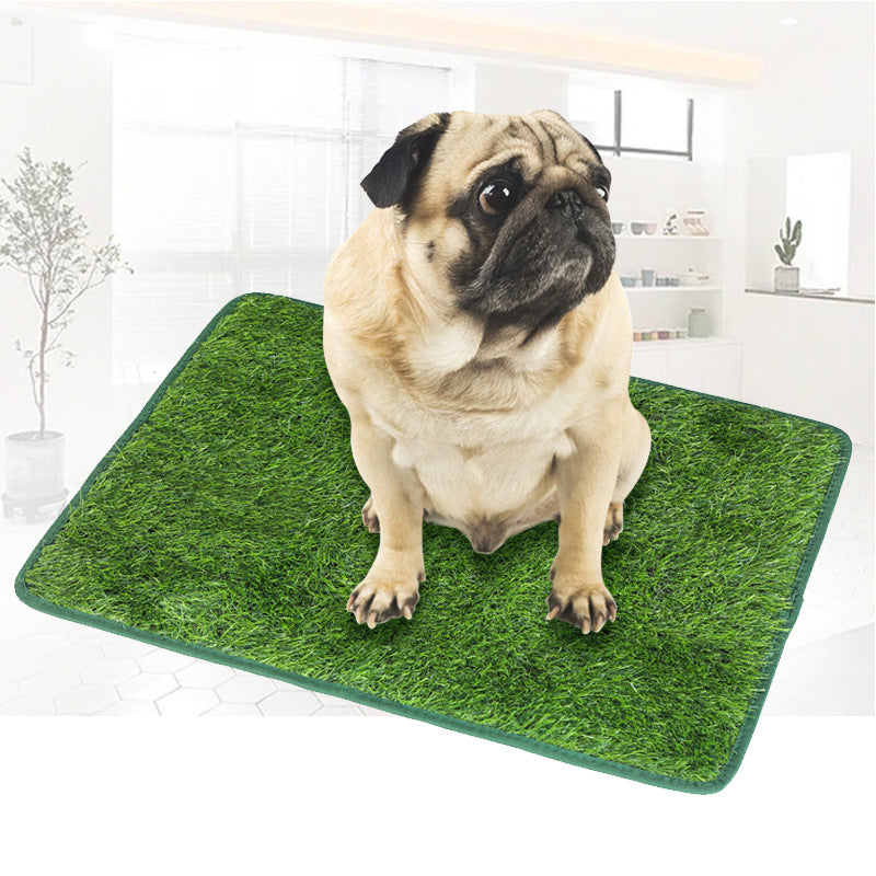Puppy Golden Retriever Dogs Potty Mat
