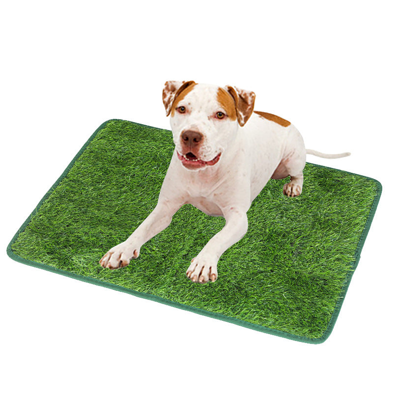 Puppy Golden Retriever Dogs Potty Mat