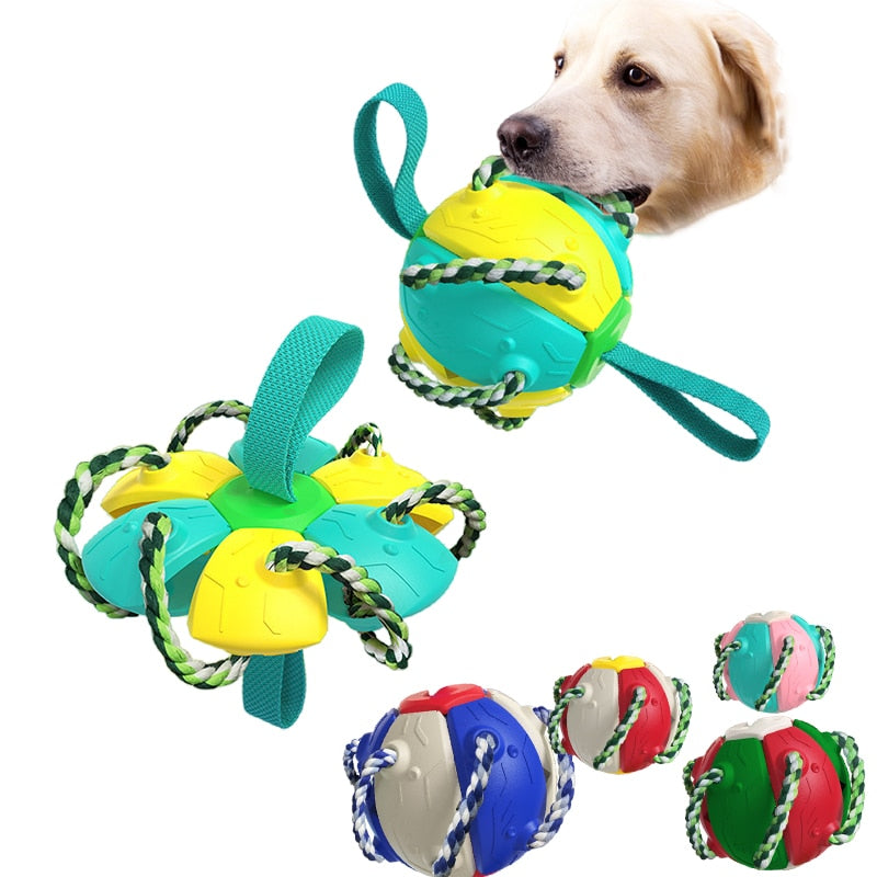 Multifunctional Pet Dog Toy Football for Training Agility and Interactive Play