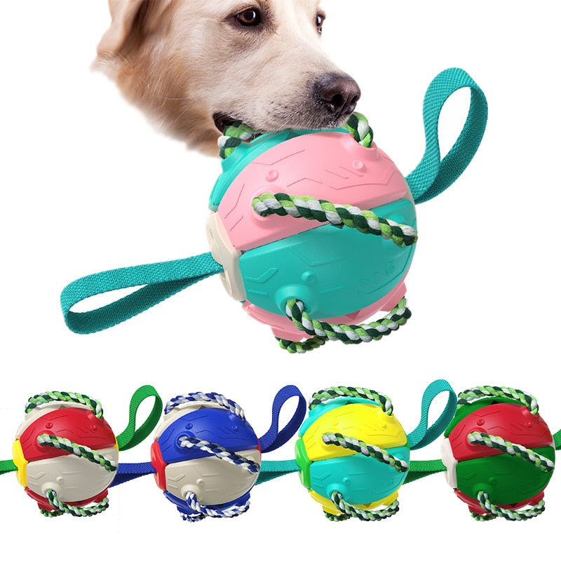 Multifunctional Pet Dog Toy Football for Training Agility and Interactive Play