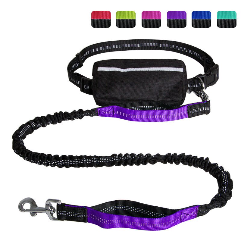 Hands Free Reflective Dog Leash with Waist Zipper Pocket