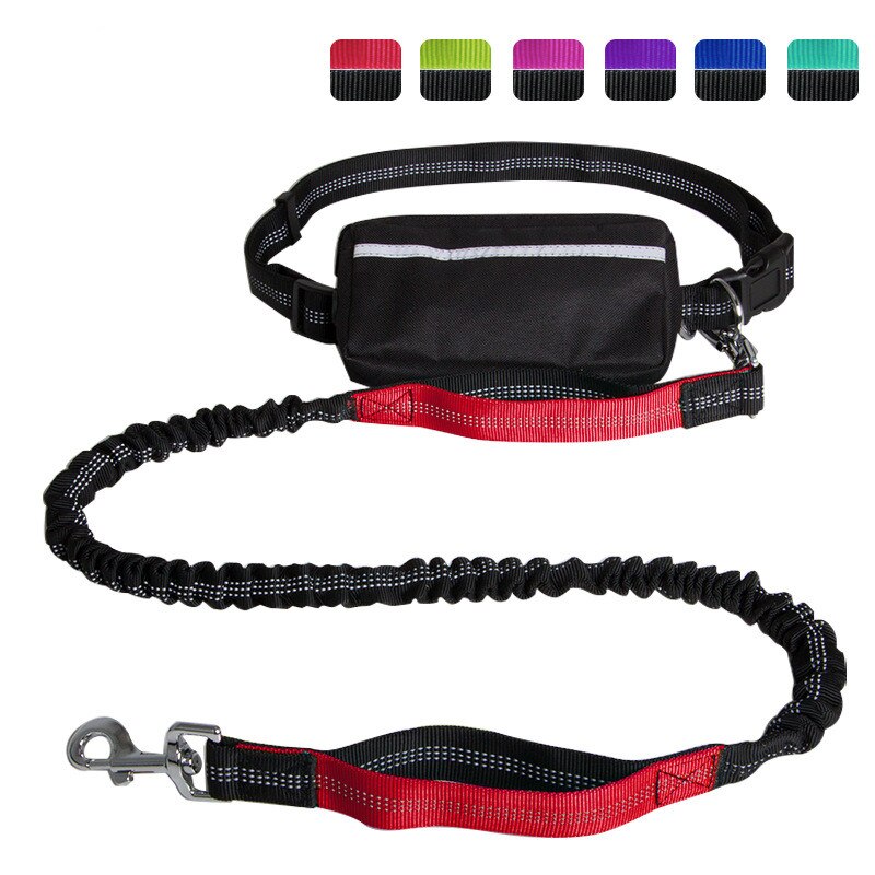 Hands Free Dog Leash with Waist Zipper Pocket Dual-Handle Reflective Bungee Suitable for Running Hiking Training Adjustable Waist Belt, Shock Absorbing for Small Medium and Large Dogs Pet Supplies