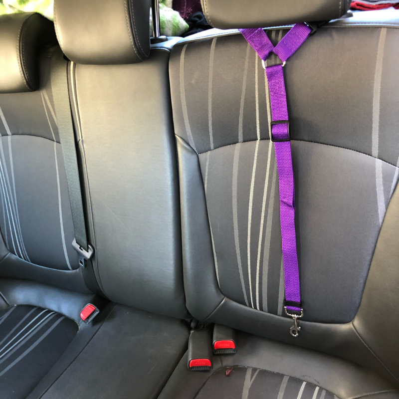 Solid Color Two-in-one Pet Car Seat Belt Adjustable Dogs Harness