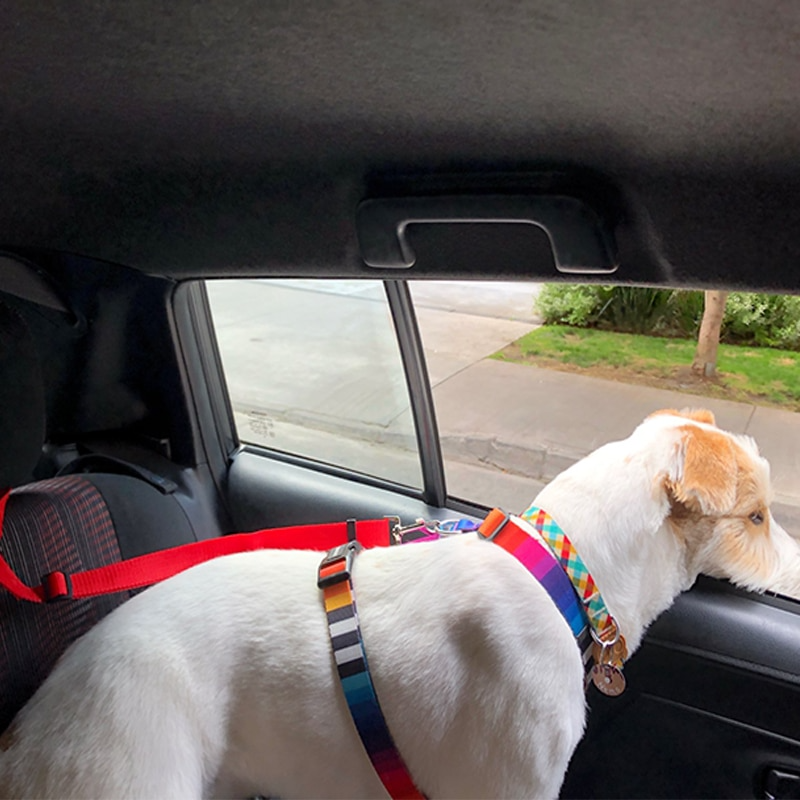 Solid Color Two-in-one Pet Car Seat Belt Adjustable Dogs Harness