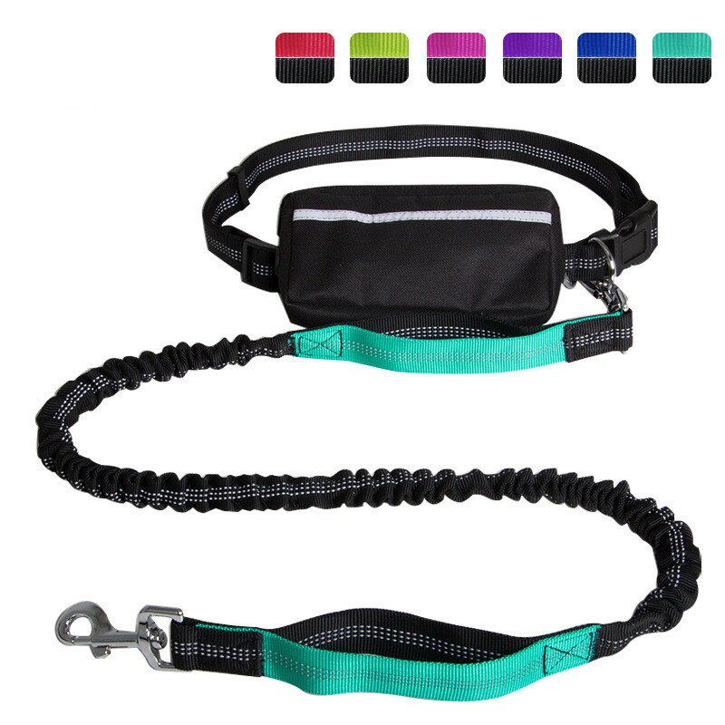 Hands Free Reflective Dog Leash with Waist Zipper Pocket