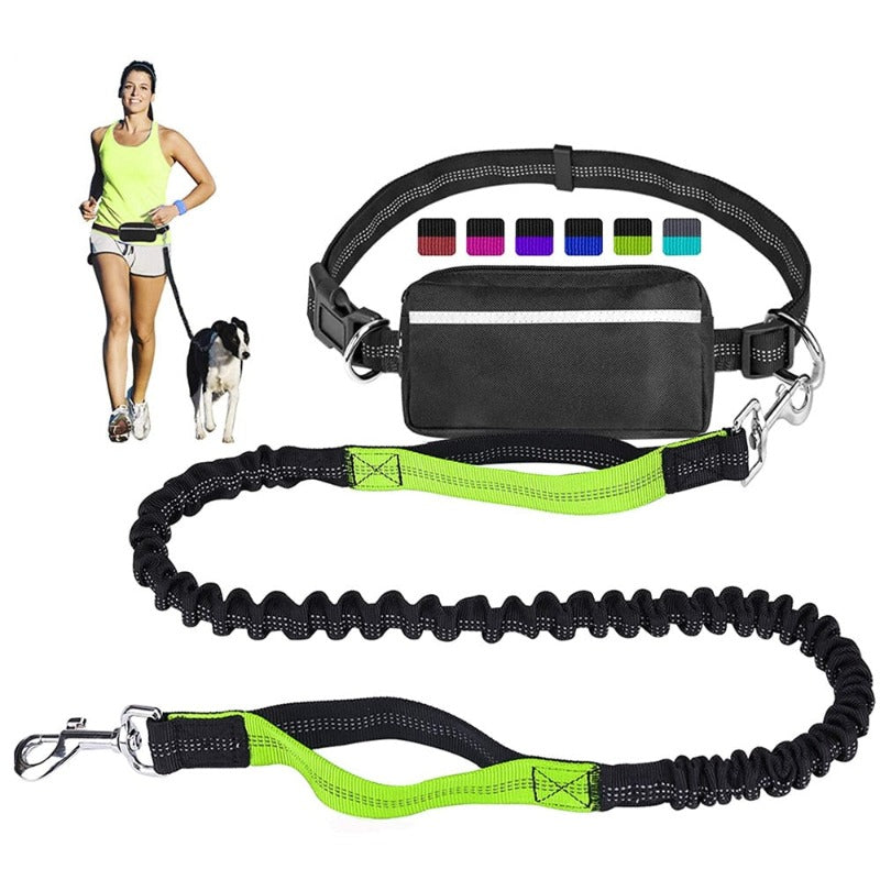 Hands Free Reflective Dog Leash with Waist Zipper Pocket