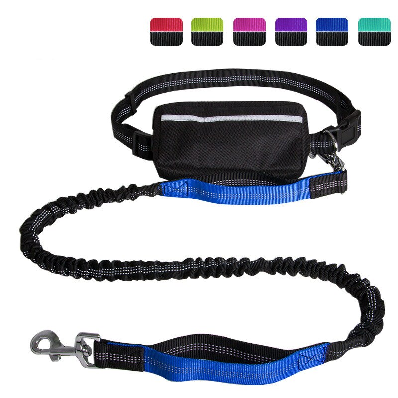 Hands Free Dog Leash with Waist Zipper Pocket Dual-Handle Reflective Bungee Suitable for Running Hiking Training Adjustable Waist Belt, Shock Absorbing for Small Medium and Large Dogs Pet Supplies