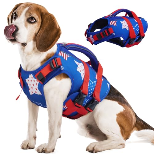 How to Choose a Dog Life Jacket: Fit, Features & Uses