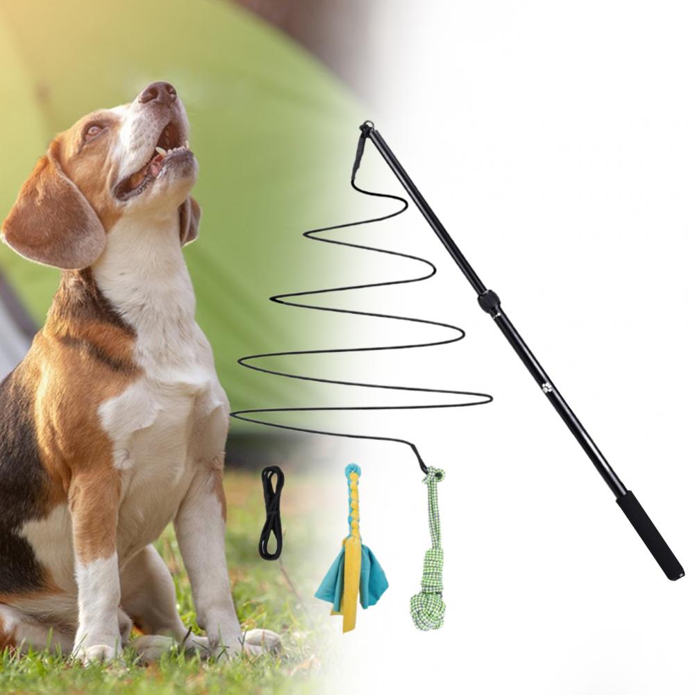 Dog Flirt Pole Toy, Interactive Teaser Wand for Dogs Tug of War