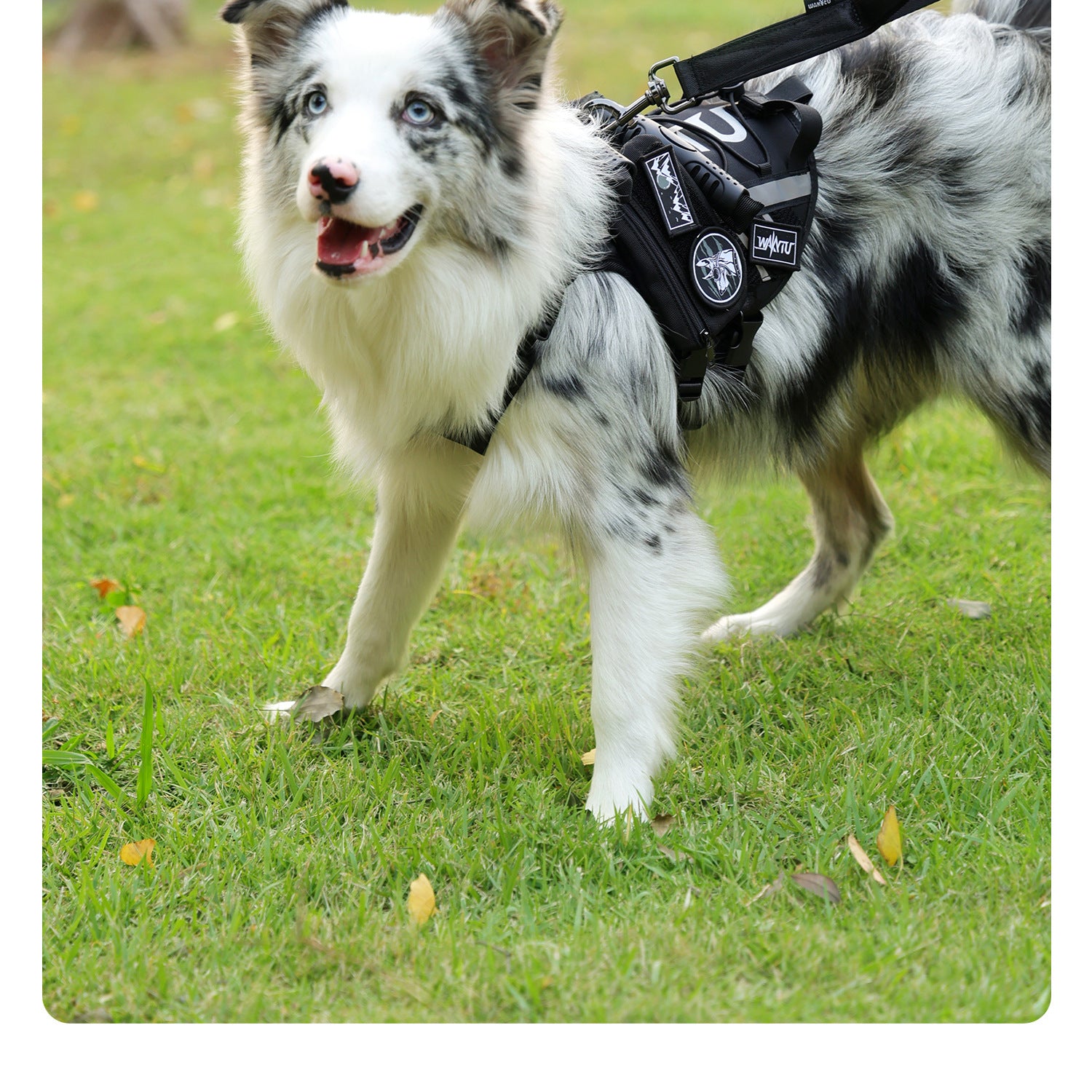 Tactical Dog Harness Outdoor Medium Large Dogs Vest Pet Walking Leash