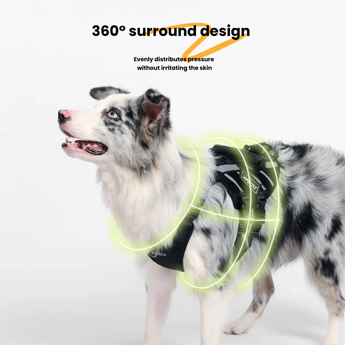 Tactical Dog Harness Outdoor Medium Large Dogs Vest Pet Walking Leash
