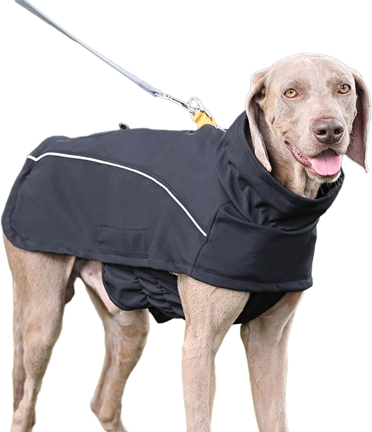 Turtleneck Dog Snow Jacket Warm Reversible Winter Dog Coat