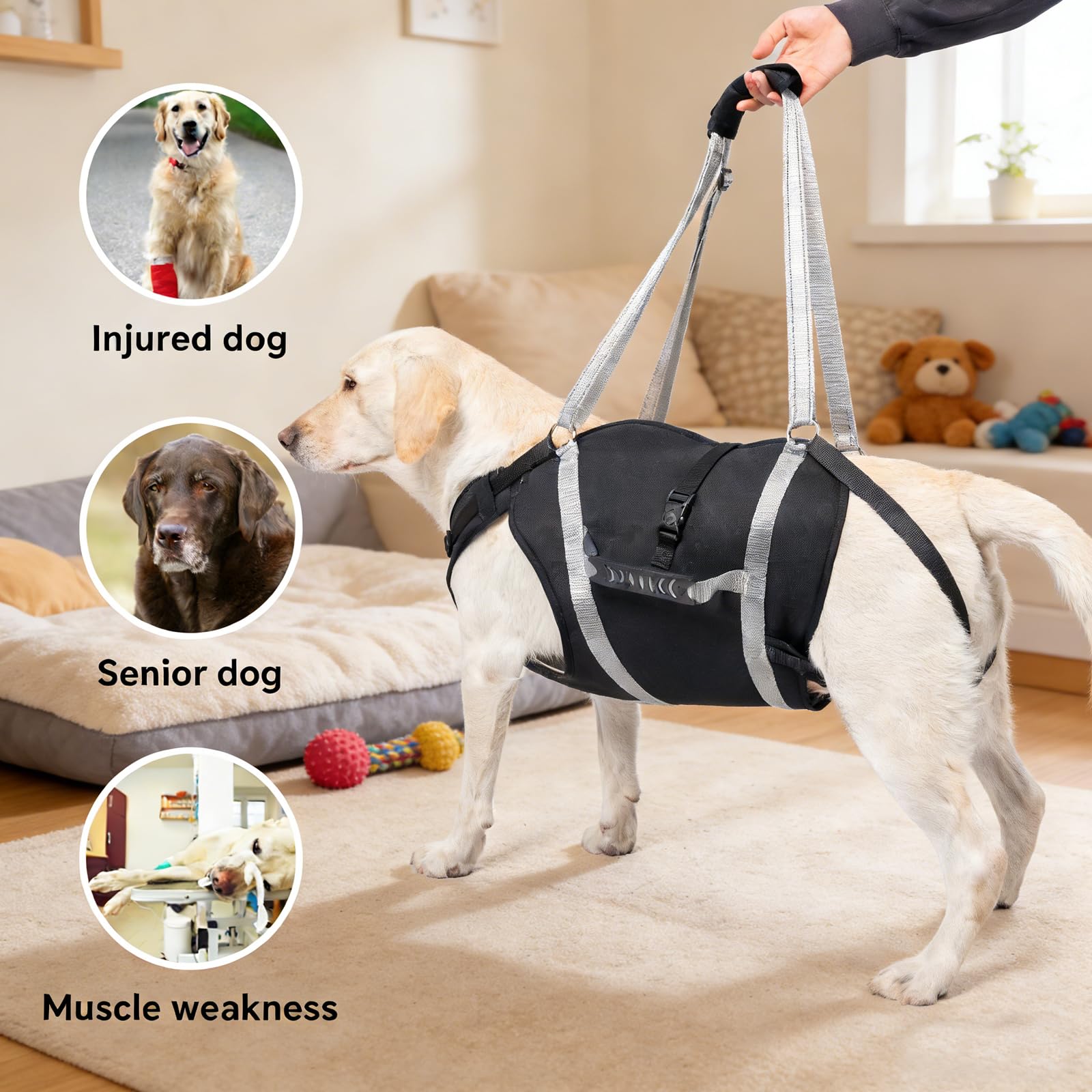 Adjustable Dog Lift Harness Pets Adjustable Padded Straps Dog Lift Harness with Handles